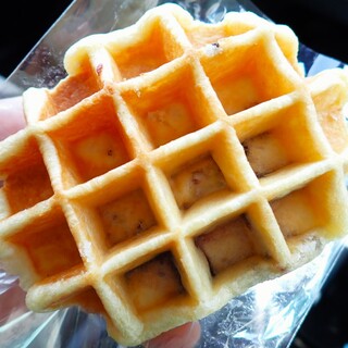 マイトパルタ_1