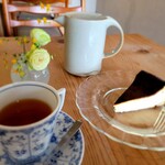 cafe space barva - 