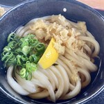 本格手打うどん はゆか - ぶっかけうどん冷1玉330円、レモン付き、おろし、ネギ、天かすはセルフ。麺やや太めコシ強め、美味しい一杯でした。