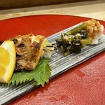 Sushi Sakanaryuu - 