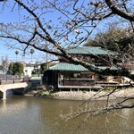 水辺のカフェ 三宅商店 酒津 - 