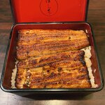 Unagi Hashimoto - 