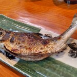 割烹 ひとしお - 珍しいサツキマスの塩焼き1300円