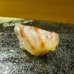 鮨旬美西川 - 専用の茶釜で熱を加えた直後に、氷水で冷やして レア感を楽しむ 特大車海老。塩とスダチで頂きます。