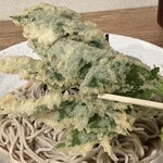 Shibusoba - 