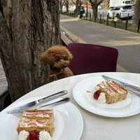 キハチ 青山本店 - 