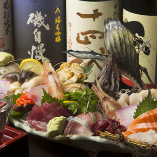 Highly fresh sashimi and Seafood dishes