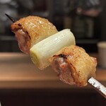 とり茶太郎 - 山形地鶏、名古屋コーチンMIX腿ねぎま