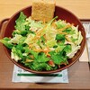 With Green - 春キャベツとスモークチキンのサラダ M(1390円)