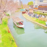 Sarada No Mise Sancho - 4/2十石舟の桜スポット