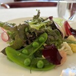 アルテリーベ - 