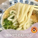 Serufu Udon Iriko - 