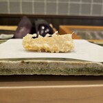 天白 - タケノコ