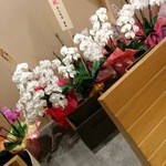 Susi Kiyo Hara - 胡蝶蘭がいっぱい。