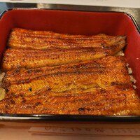 鰻割烹 伊豆栄 本店 - 鰻重【竹】