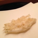 天麩羅　まつ井 - 