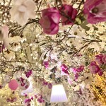 HAUTE COUTURE CAFE OMOTESANDO - 