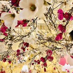 HAUTE COUTURE CAFE OMOTESANDO - 