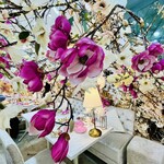 HAUTE COUTURE CAFE OMOTESANDO - 