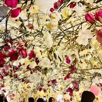 HAUTE COUTURE CAFE OMOTESANDO - 