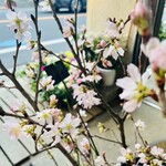花ト喫茶ネコノコバン - 