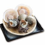 Shellfish set