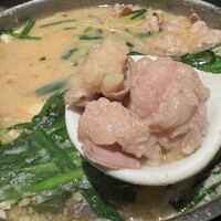 博多もつ鍋 やま中 赤坂店 - 