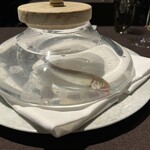 sincere - 琵琶湖の稚鮎