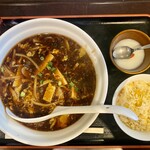 新日本橋中華 龍龍龍龍 TETSU - 酸辛湯麺