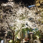 FORTUNE GARDEN KYOTO - 