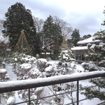 辻家庭園 - 離れから雪吊りの施された庭を見通し，右手に母屋（群青の間方向）を望む