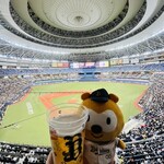 KYOCERA DOME OSAKA - 