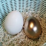 Toritontan - お通しのゆで卵