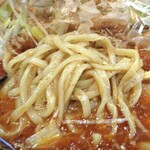 Mennoammarupurasuramenryou - 魚辛味噌ラーメン（ネギトッピング）