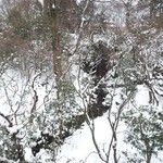 辻家庭園 - 新館への渡り廊下（ブリッジ）から自然の高低差を利用した落差5.5mの大瀧を眺める（寺町台地から犀川河畔方向への流れ）