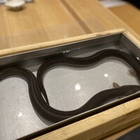 三宅輝 - 