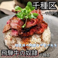 老舗精肉店直送 千種焼肉 飛騨牛の奴隷 千種店 - 