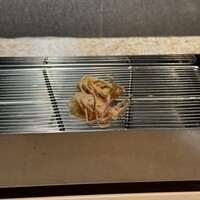 てんぷら 山の上 Roppongi 東京ミッドタウン店 - 
