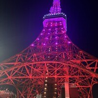 タワシタ - 