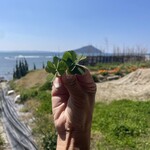 工房とったん - 