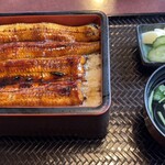 だるま家 - 鰻重