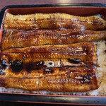 だるま家 - 鰻重　アップ