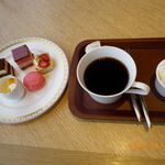 プリムローズ - 