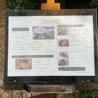 GENTLE Dining - 