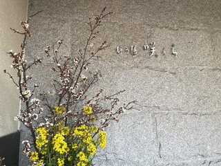 Yuuzen Sakura - 入口と菜の花