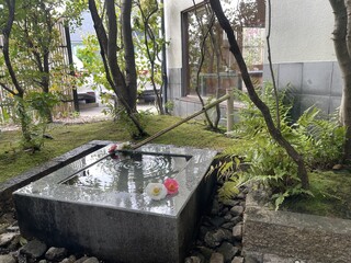 Yuuzen Sakura - 中庭