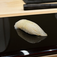 青空 - アオリイカ