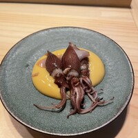 鮨麻布 - 卵黄と黄水ソース　ホタルイカ