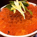 酒肴商店 アジト - イクラ丼（山盛りすぎます！）