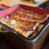 Unagi Shigeta - 